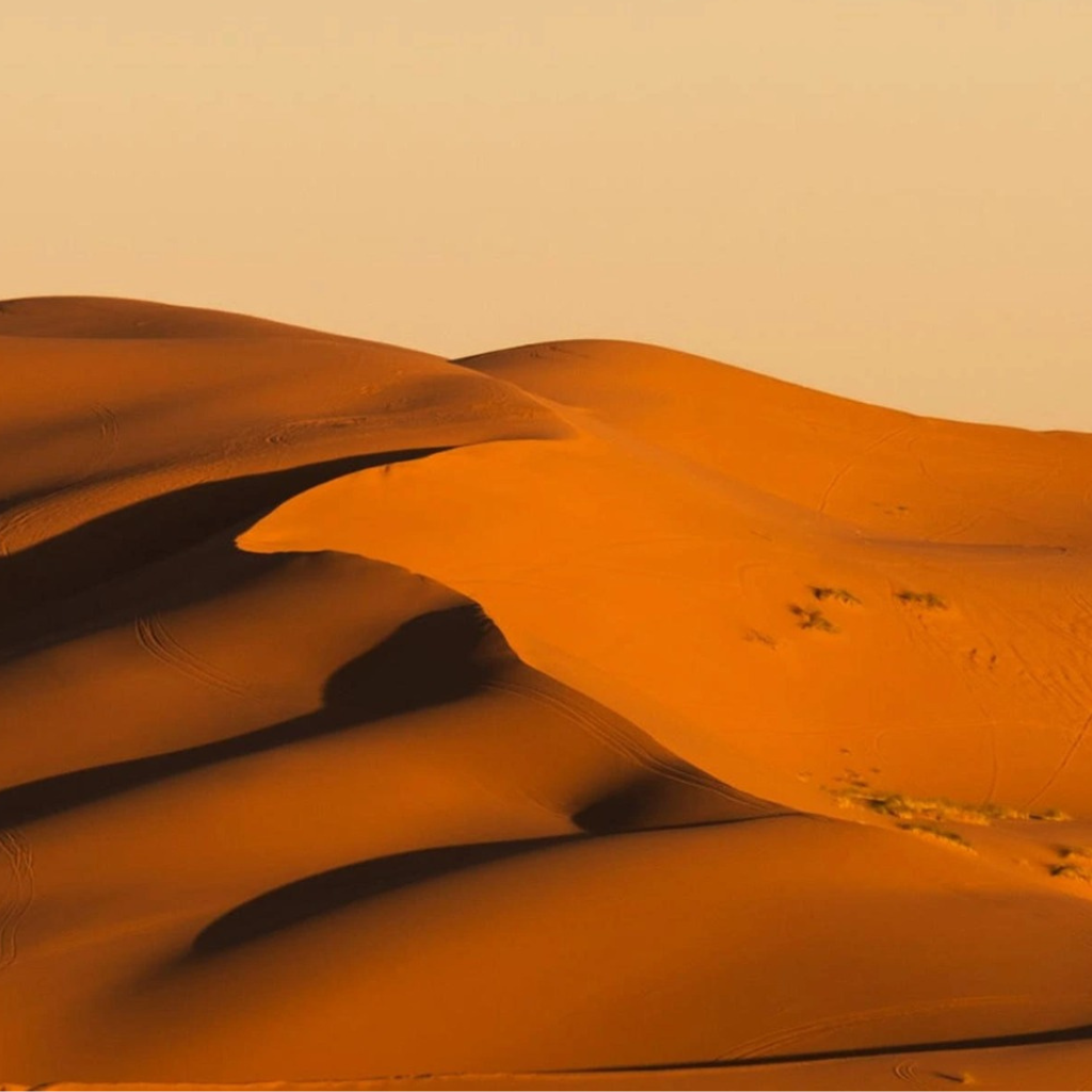 Arabian desert