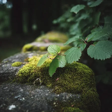 mossy leaves which smell fresh and like the ground